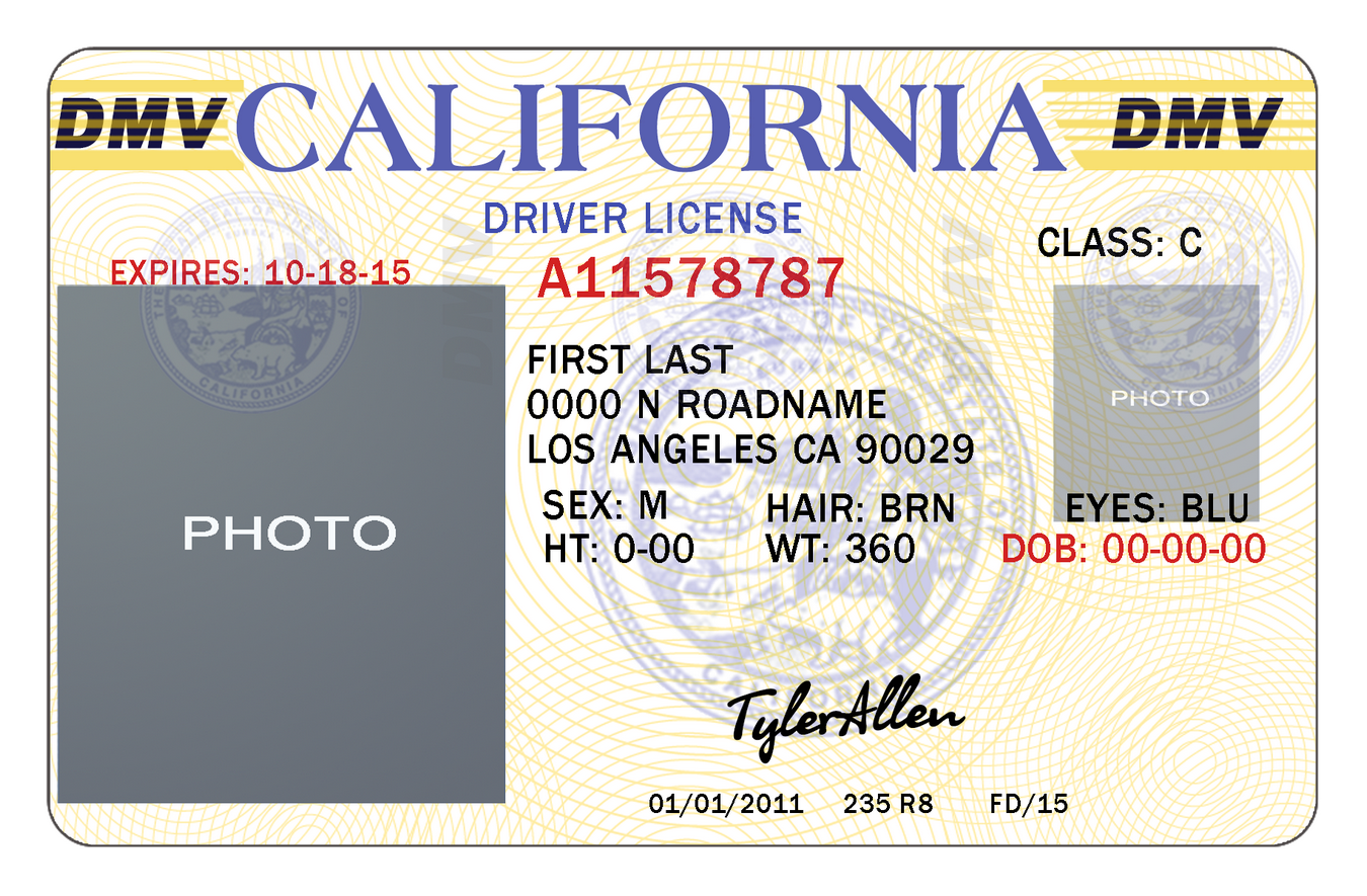 Vehicle drivers Certificate Templates: Creating Sensible and Genuine Records Intro